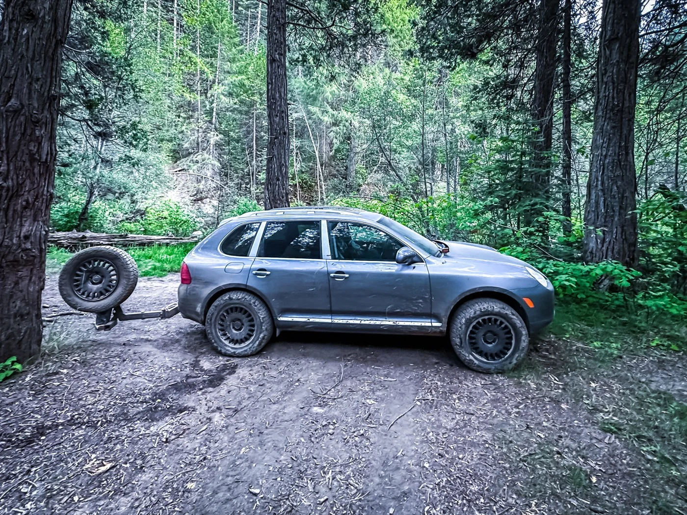955 Cayenne S dispersed camping in the woods.
